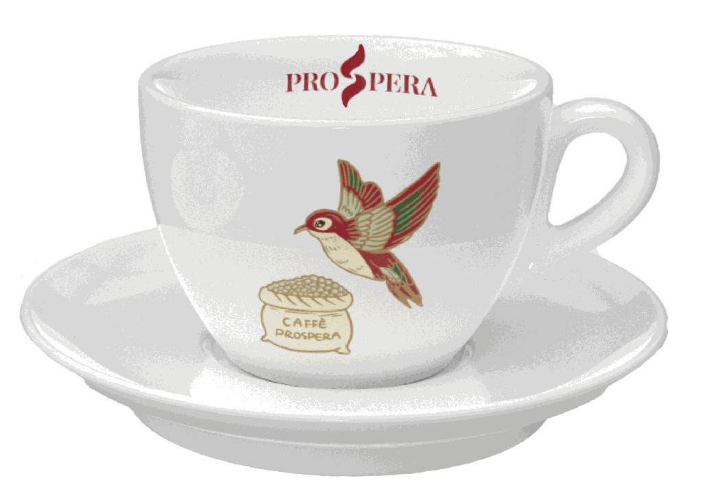 Tazza e Piattino Cappuccino 6/scatola